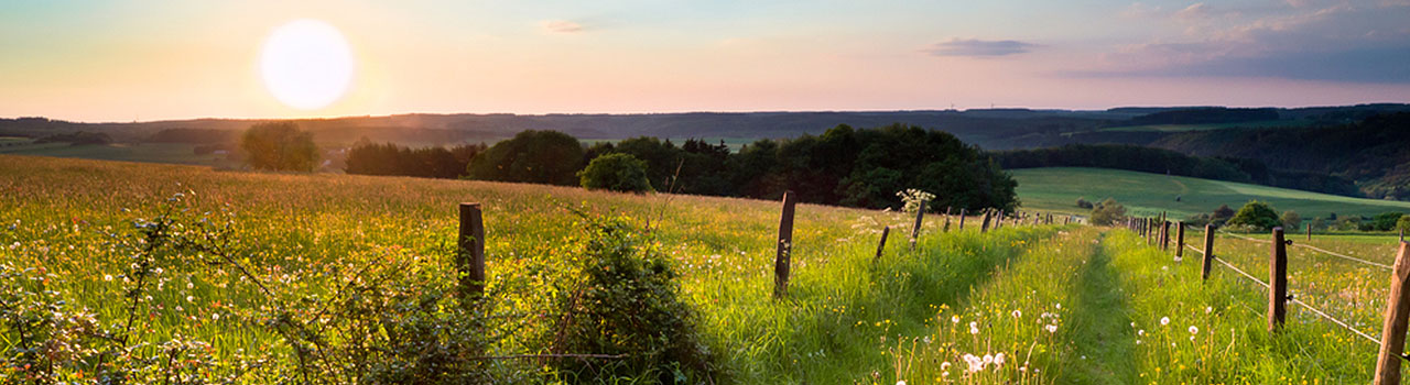 Sonnenuntergang über Wiese mit Zaun und Weg.