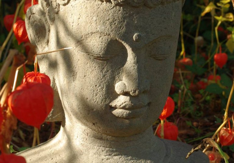 Steinerner Buddha zwischen Lampionblumen.